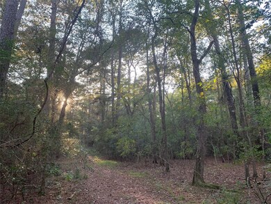 24424 Nichols Sawmill Rd, Magnolia, TX 77355 - photo 7