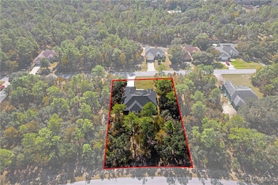 5507 W Paprika Loop, Homosassa, FL 34448 - photo 6