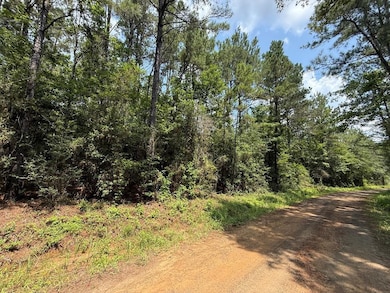 2905 County Road 441, Magnolia Springs, TX 75956 - photo 7