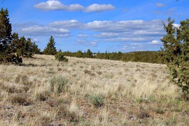 0 Tl 3200 Thomas Rd unit 24807815, Prineville, OR 97754 - photo 7