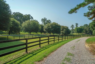 Driveway Entrance