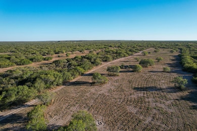 663 San Diego Rd, Tilden, TX 78072 - photo 3