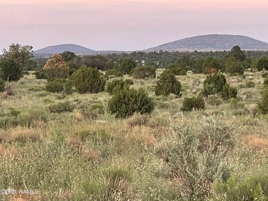 IMG-2525