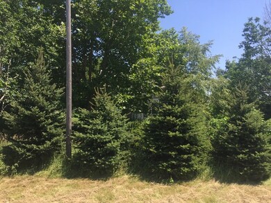 18394 Wyanet Walnut Rd, Princeton, IL 61356 - photo 3