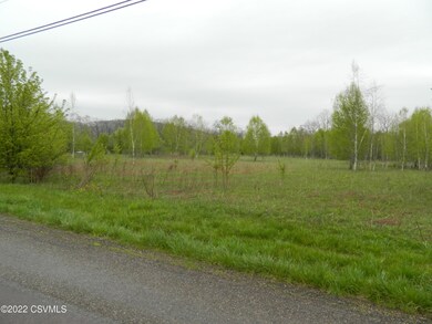 CORNER OF Alexis Drive & Hidlay Church Rd, Bloomsburg, PA 17815 - photo 6
