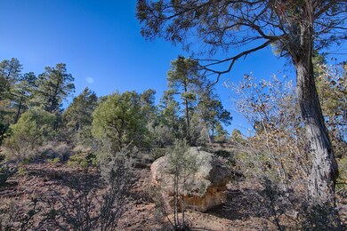 428 S Pleasant View Dr, Show Low, AZ 85901 - photo 3