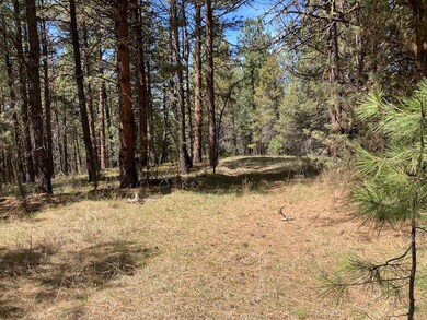 0 Nans Rock Rd unit 220121943, Mount Vernon, OR 97865 - photo 4