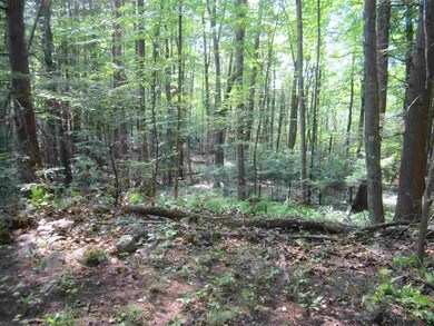 0 Foordmore Rd unit 20133920, Wawarsing, NY 12446 - photo 3