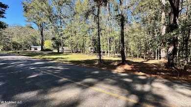 203 Goodman Rd, Pelahatchie, MS 39145 - photo 5