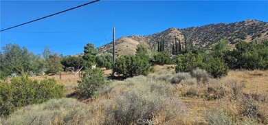 0 Soledad Pass Rd unit SR23191729, Acton, CA 93510 - photo 5