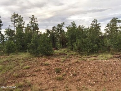 5983 LUMINARY Way, Lakeside, AZ 85929