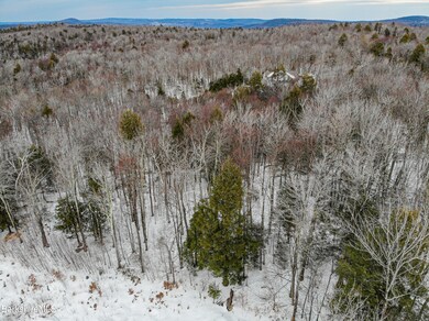 DJI_0242