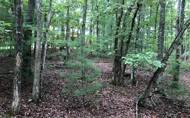 Additional View