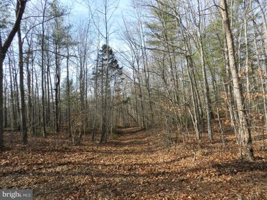 A Hart Ct, Culpeper, VA 22701 - photo 5