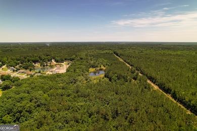 20 Acres Kingsland West of Hwy 17, Kingsland, GA 31548 - photo 6