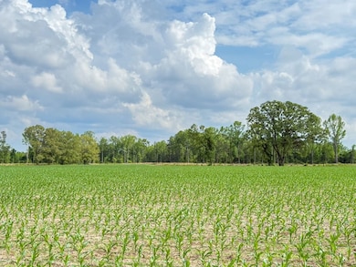 0 Tbd Salem Rd unit LotWP00B 24524860, Bennettsville, SC 29512 - photo 4