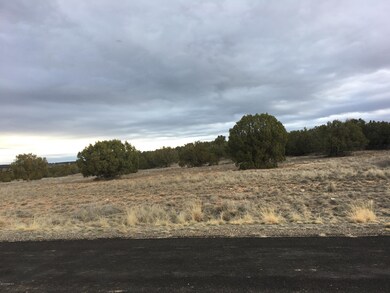 1850 E Aiken Ranch Rd, Paulden, AZ 86334 - photo 6