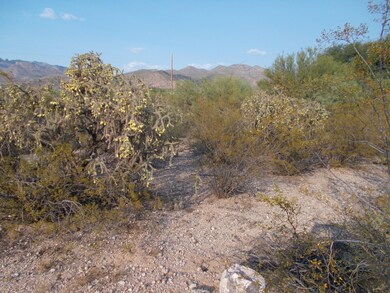 DSCN0409
