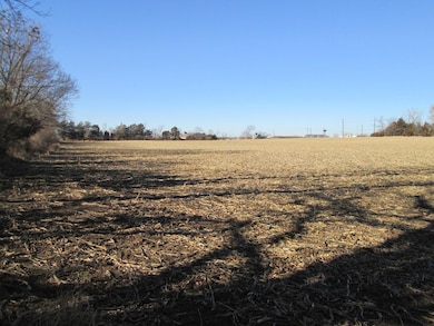 Southeast Corner
