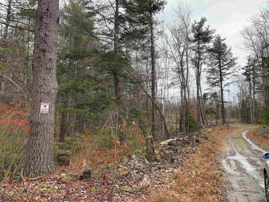 Map 401 Lot 8 Dean Farm Rd, Jaffrey, NH 03452 - photo 3