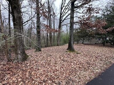 988 Rd 821, Saltillo, MS 38866 - photo 2