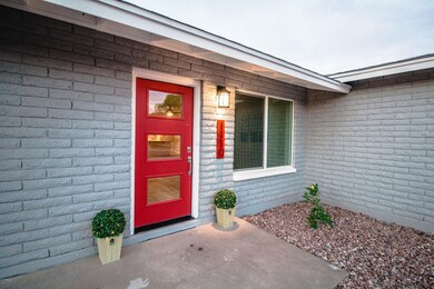 PalominoDr,Chandler-25