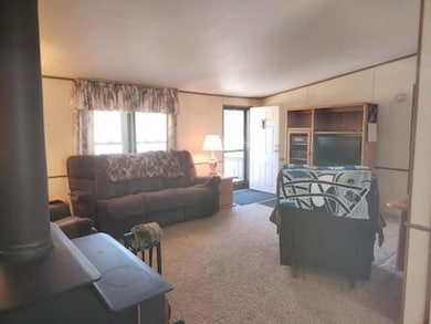 4297 N Wilderness Trail, Luther, MI 49656 - photo 5