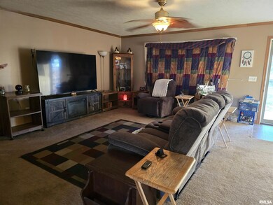 13960 Meridian Rd, Carterville, IL 62918 - photo 6