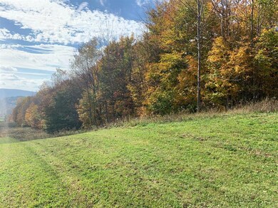 0 Narrow Notch Rd Rd unit OD132890, Yorktown Heights, NY 10598 - photo 4