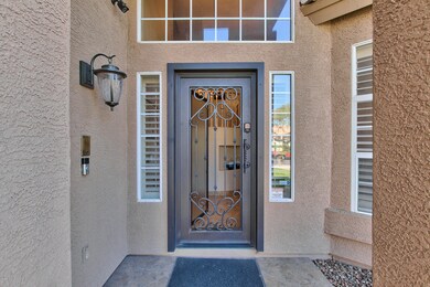 Custom iron entry door