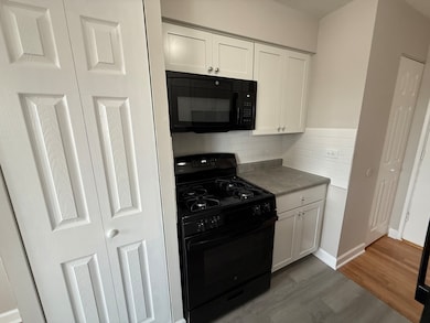 3001 N Thatcher Ave unit 2D, River Grove, IL 60171 - photo 2