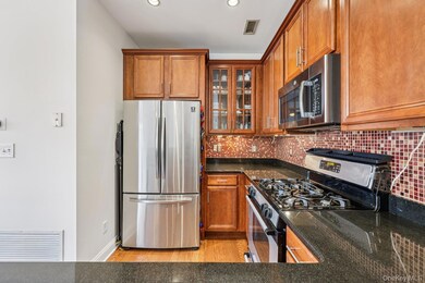 Wellington Greene unit 202, Port Chester, NY 10573 - photo 5