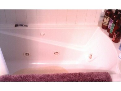 Bathroom Jacuzzi jet bathtub!