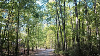 0 Oakcrest Ln unit 363097, Rockfish, VA 22958 - photo 6