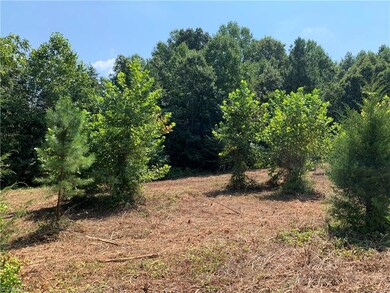 00 Old Mill Ford Trail, Asheboro, NC 27205 - photo 2