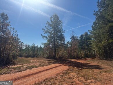 0 Perimeter Rd unit 10118660, Monticello, GA 31064 - photo 5