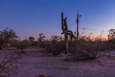 Desert
