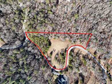 LT 13/14 S Williamstown Ridge, Mineral Bluff, GA 30559 - photo 6