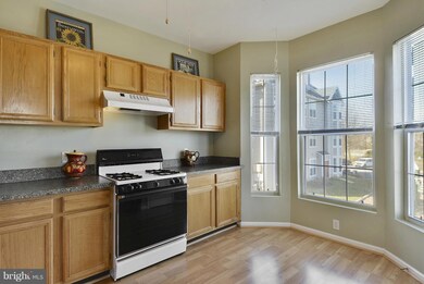 46590 Drysdale Terrace unit 201, Sterling, VA 20165 - photo 7