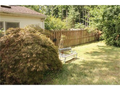 Beautiful mature Japanese Maples and other outdoor