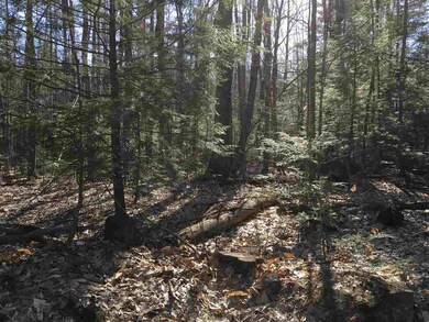 36 Effingham Rd, Ossipee, NH 03864 - photo 4