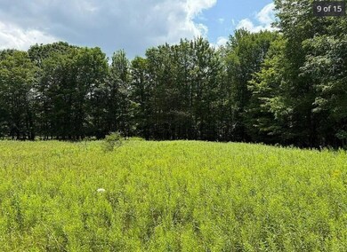 125 Dimmick Mountain Rd, Middletown, NY 12430 - photo 6