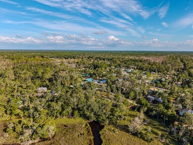 117 SW 818th St, Steinhatchee, FL 32359 - photo 6