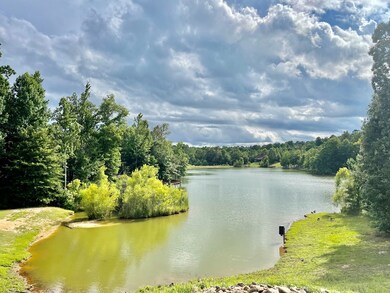 905 Tuscan View, Oxford, MS 38655 - photo 6