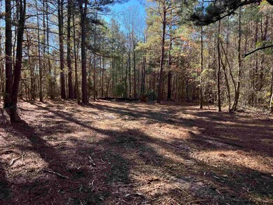 TBD County Road 2921, Hughes Springs, TX 75656 - photo 4