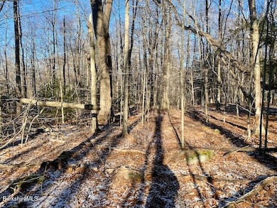 Lot 19-I W Center Rd, Otis, MA 01253 - photo 7