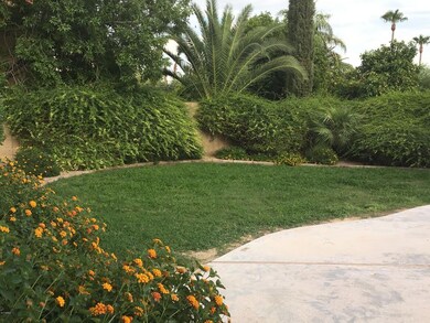 Side yard