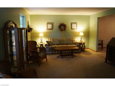 LIVINGROOM WITH NEW CARPET