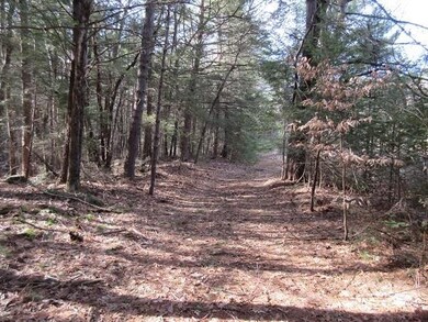 0 Moss Brook Rd, Orange, MA 01364 - photo 5