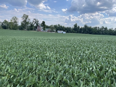 0 Main St N, Elkton, KY 42220 - photo 6